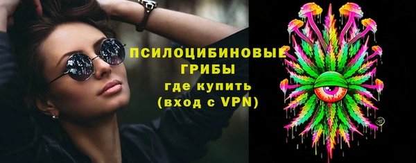 молекула духа Гусев