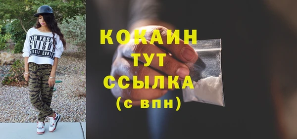 молекула духа Гусев