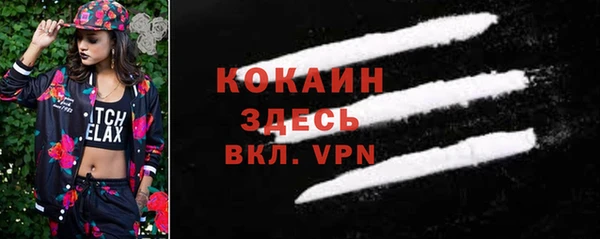 Альфа ПВП Гусь-Хрустальный
