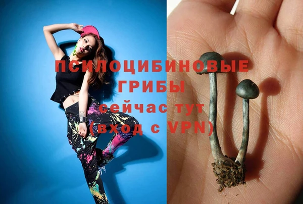 молекула духа Гусев