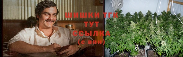 Альфа ПВП Гусь-Хрустальный