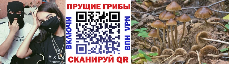Псилоцибиновые грибы GOLDEN TEACHER  Купить  Фурманов 